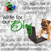 bloggers writers needed animal stories ark animal centre rescue shelter fourways