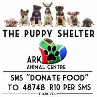 ark animal centre food sms line feed homeless rescue adopt charity sterilise campaign 
